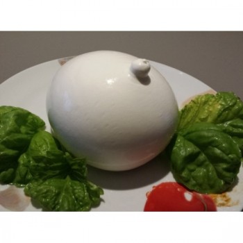 ZIZZONA FROM BUFFALO MILK