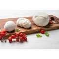 Dairy Products