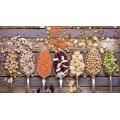 Legumes