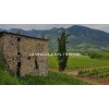 Vinicola del Titerno