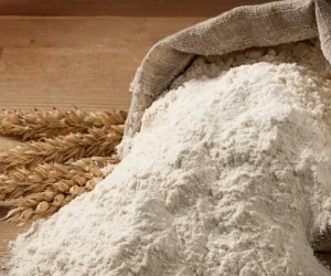 Flour