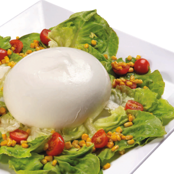 MOZZARELLA FROM BUFFALO MILΚ