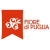 Fiore di Puglia